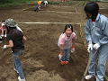 080615_055_thumb.png