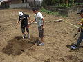 080615_061_thumb.png