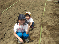 080615_064_thumb.png