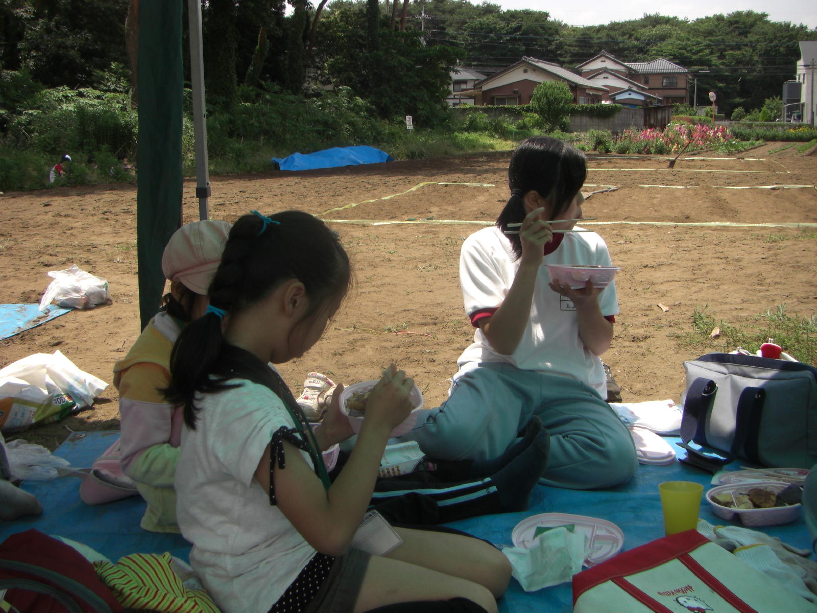 080615_070.JPG