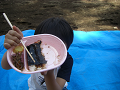 080615_105_thumb.png