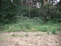 080615_111_thumb.png