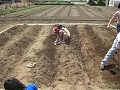 080615_145_thumb.png