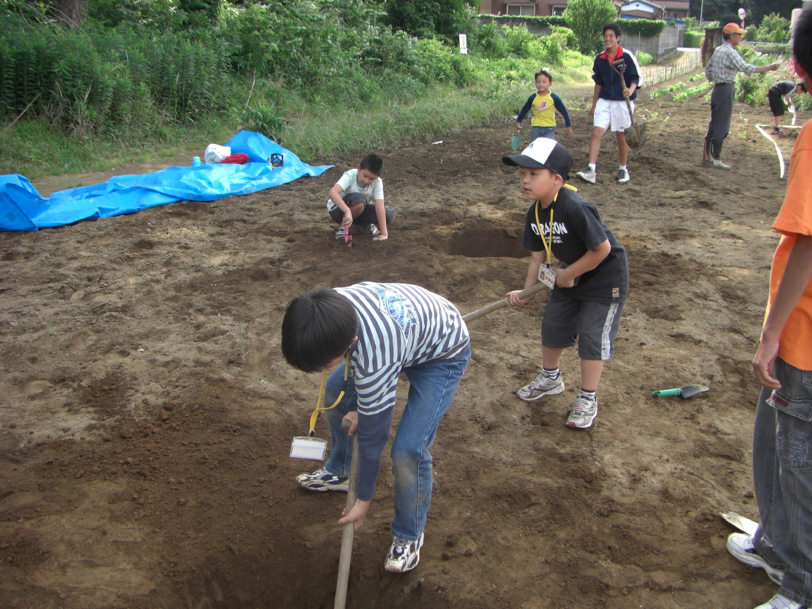 080615_148.JPG