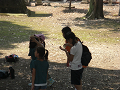 080808-1_046_thumb.png