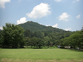 080808-1_081_thumb.png