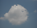 080808-1_084_thumb.png