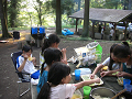 080808-1_127_thumb.png