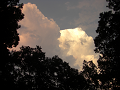 080808-1_145_thumb.png