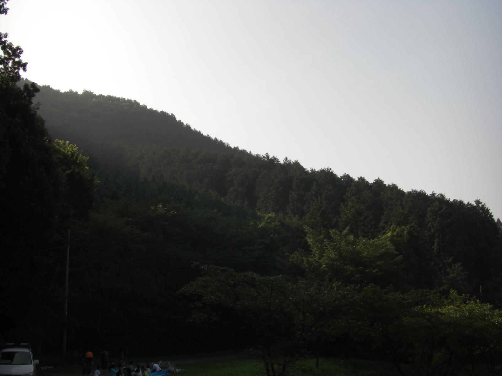 080808-2_049.JPG
