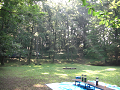 080808-2_060_thumb.png