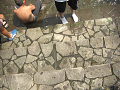 080808-2_078_thumb.png