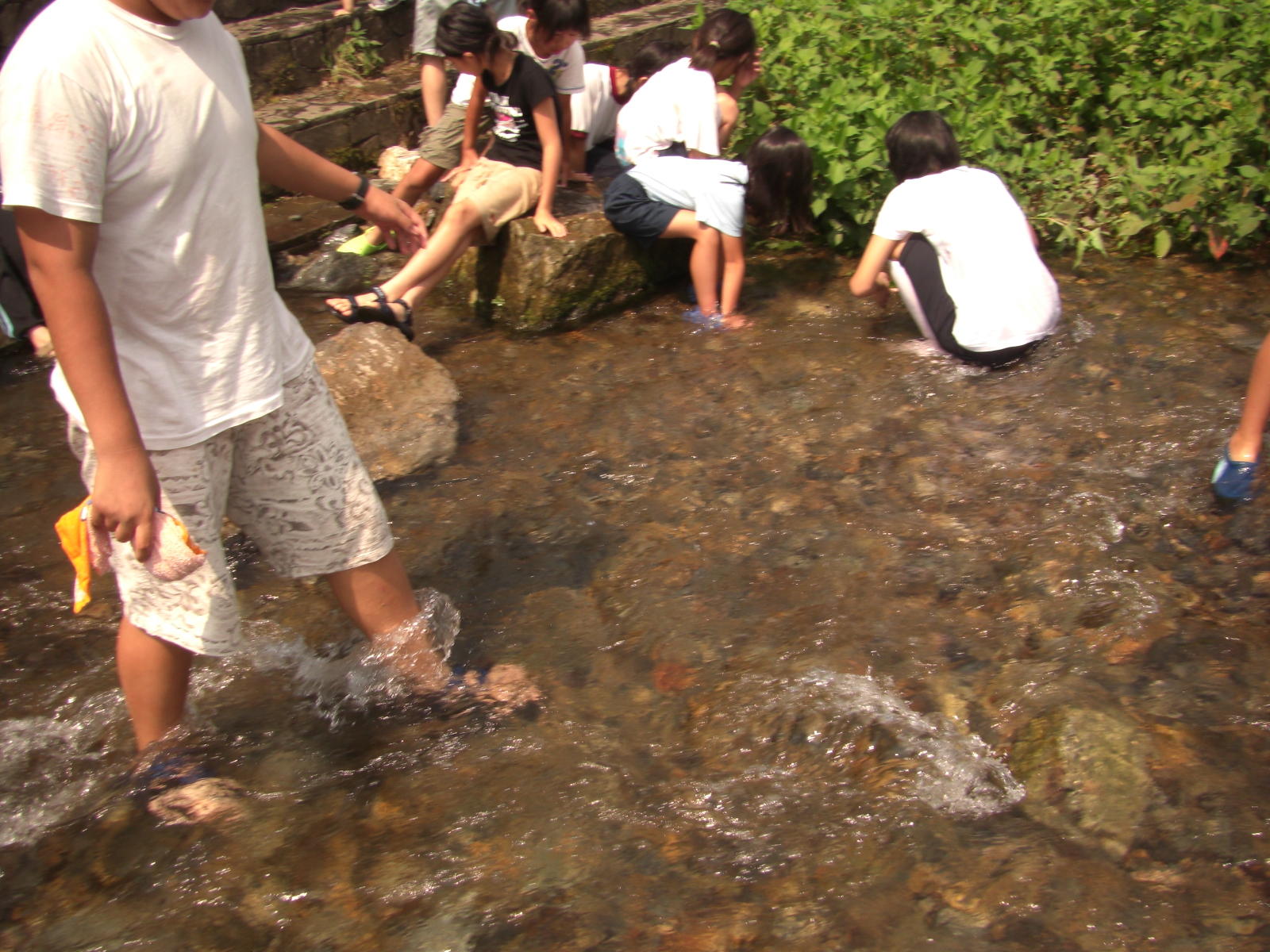 080808-2_081.JPG
