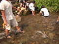 080808-2_081_thumb.png