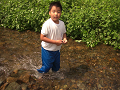 080808-2_084_thumb.png