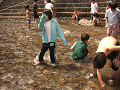 080808-2_086_thumb.png