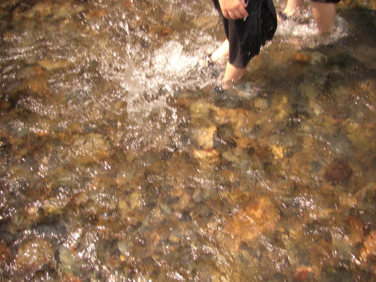 080808-2_087.JPG