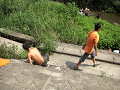 080808-2_097_thumb.png