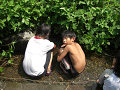 080808-2_103_thumb.png