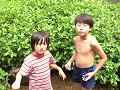 080808-2_113_thumb.png