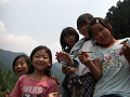 080808-2_129_thumb.png