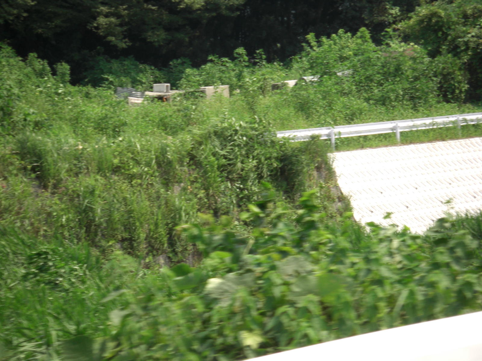 080808-2_158.JPG