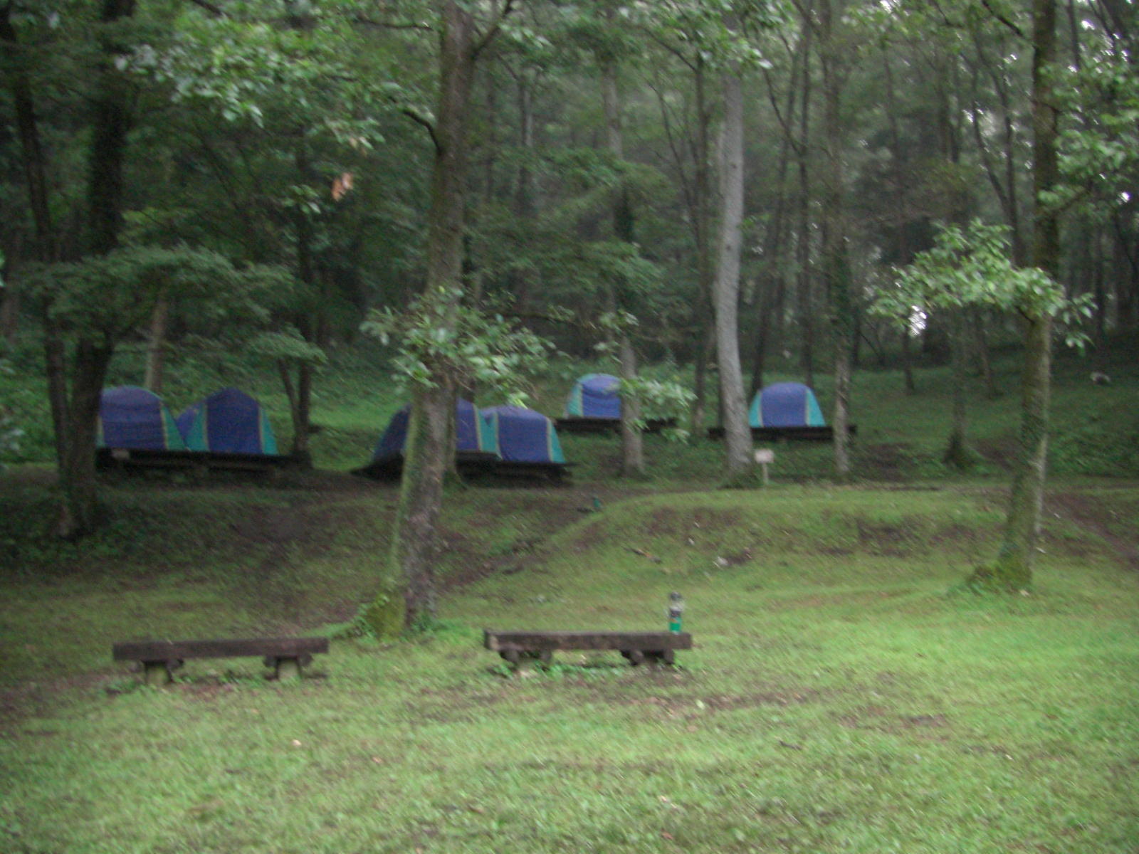 080808-3_002.JPG