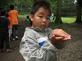 080808-3_042_thumb.png