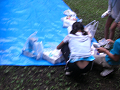 080808-3_057_thumb.png