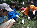 080808-3_075_thumb.png
