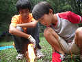 080808-3_088_thumb.png