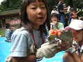 080808-3_093_thumb.png