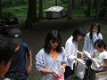 080808-3_104_thumb.png