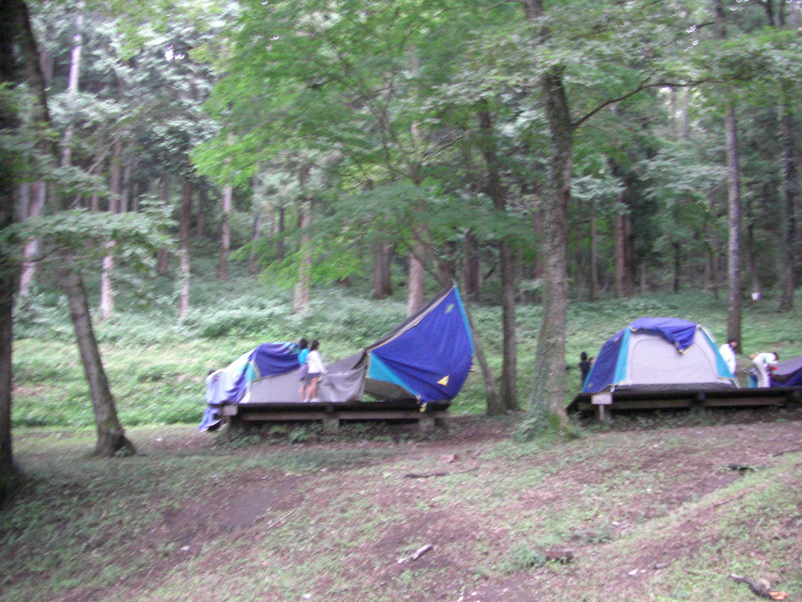 080808-3_121.JPG