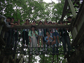 080808-3_151_thumb.png