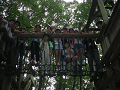 080808-3_152_thumb.png