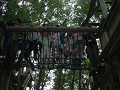 080808-3_153_thumb.png