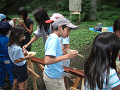 080808-3_178_thumb.png