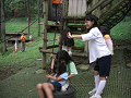 080808-3_244_thumb.png