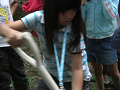 080808-3_259_thumb.png