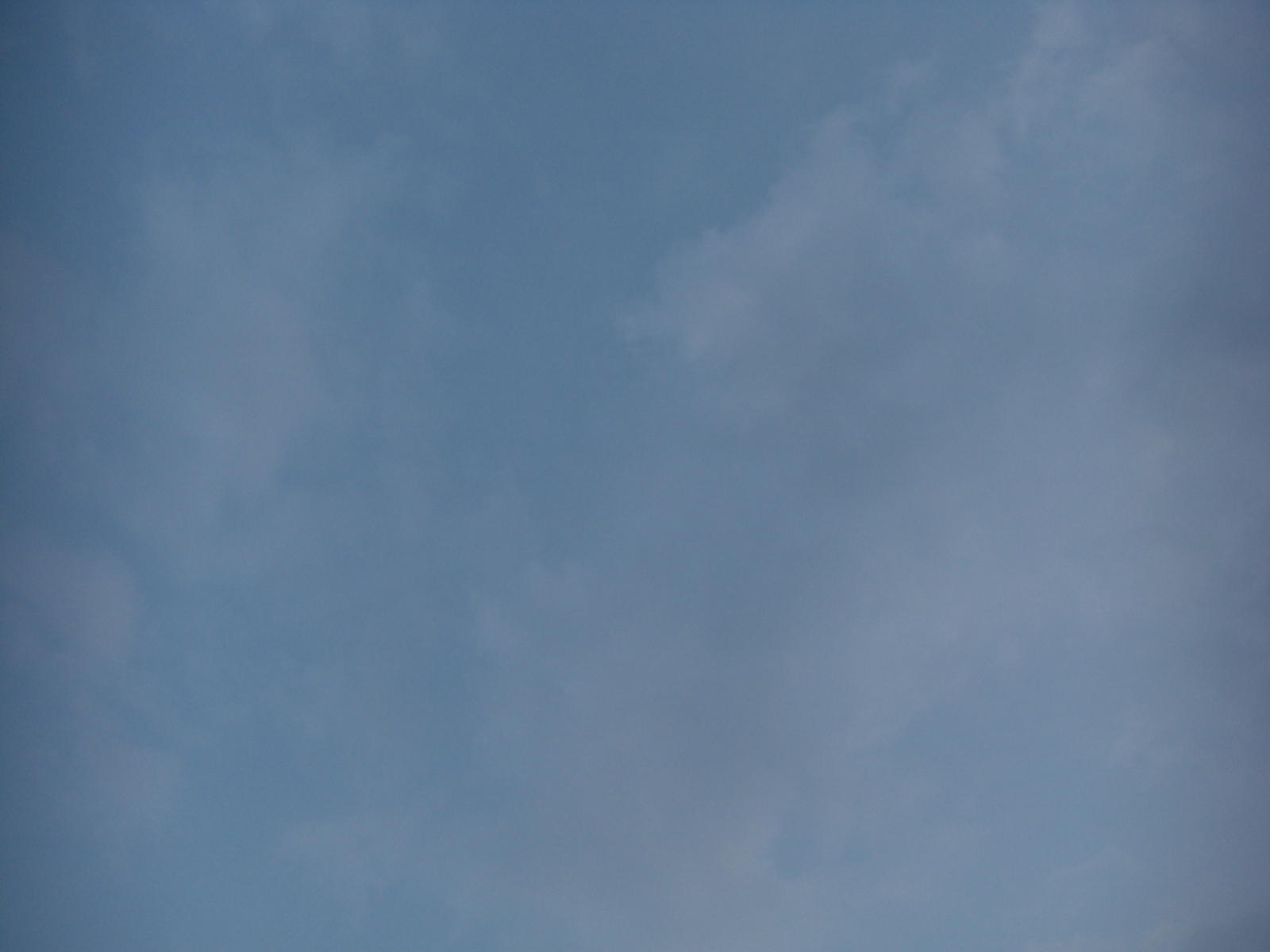 080808-3_314.JPG