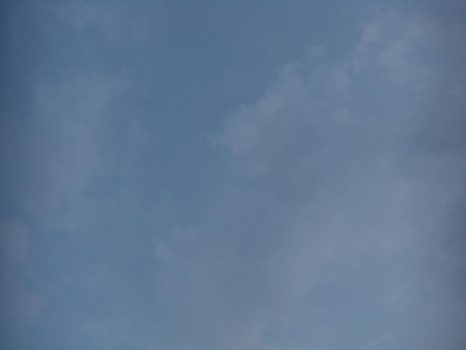080808-3_315.JPG
