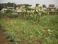 080907-004_thumb.png