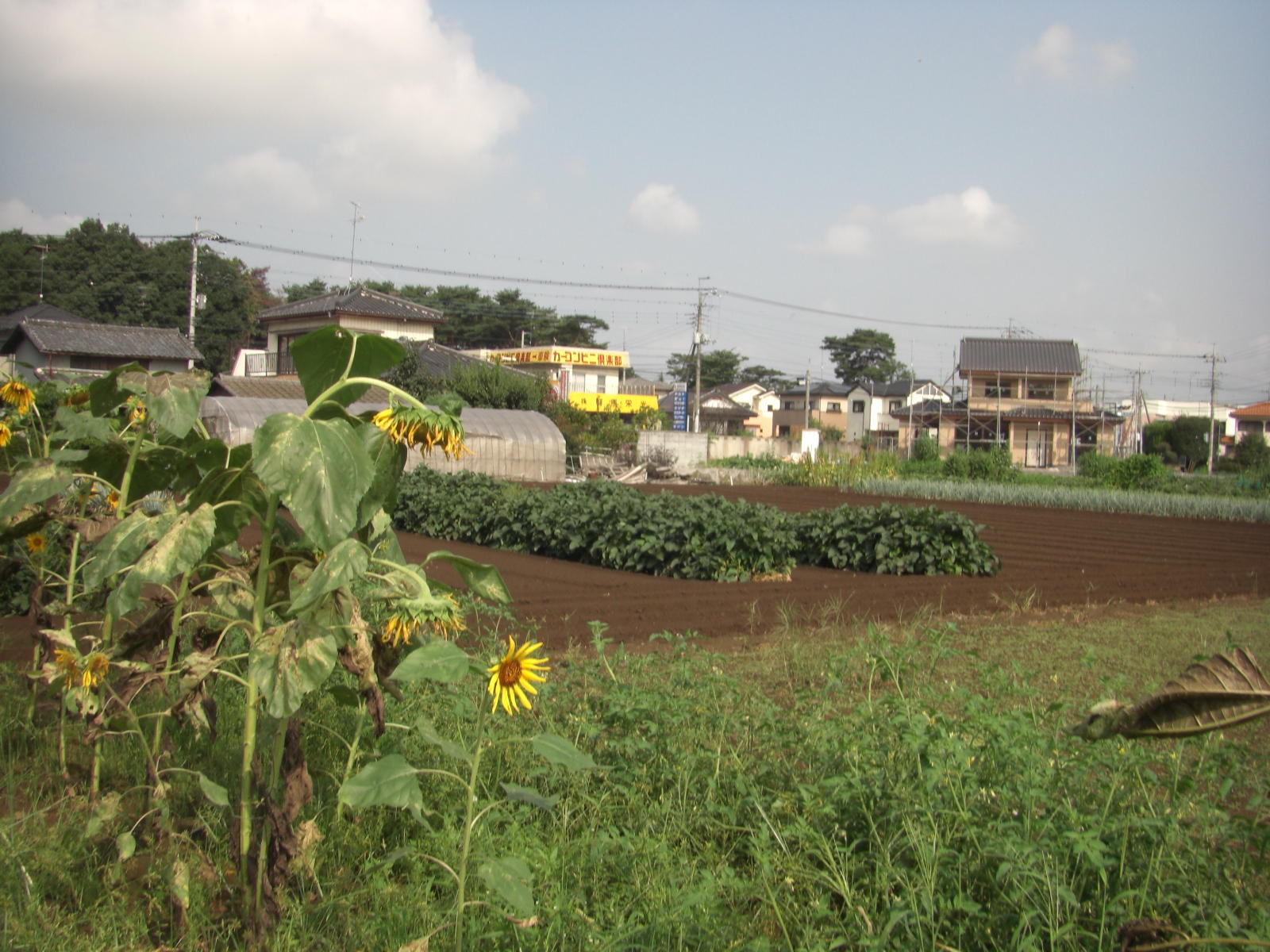 080907-005.JPG