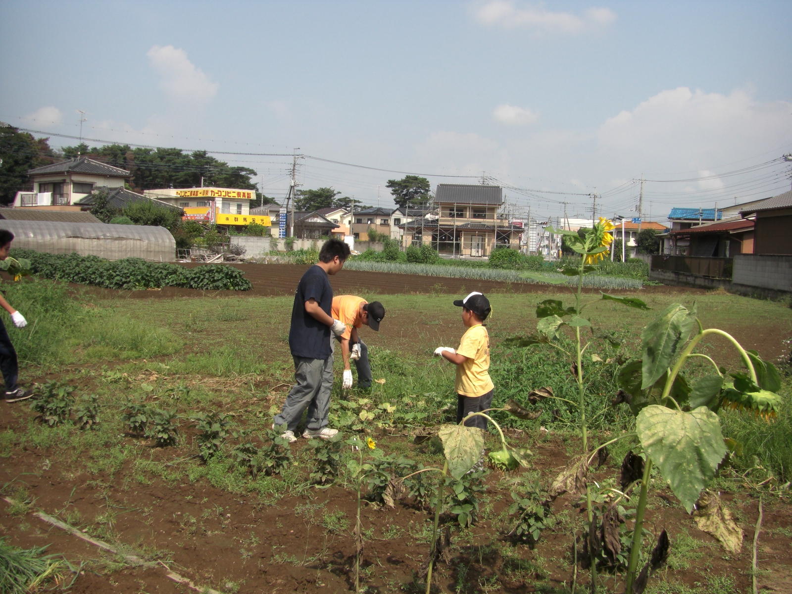 080907-010.JPG