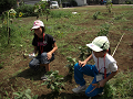 080907-012_thumb.png