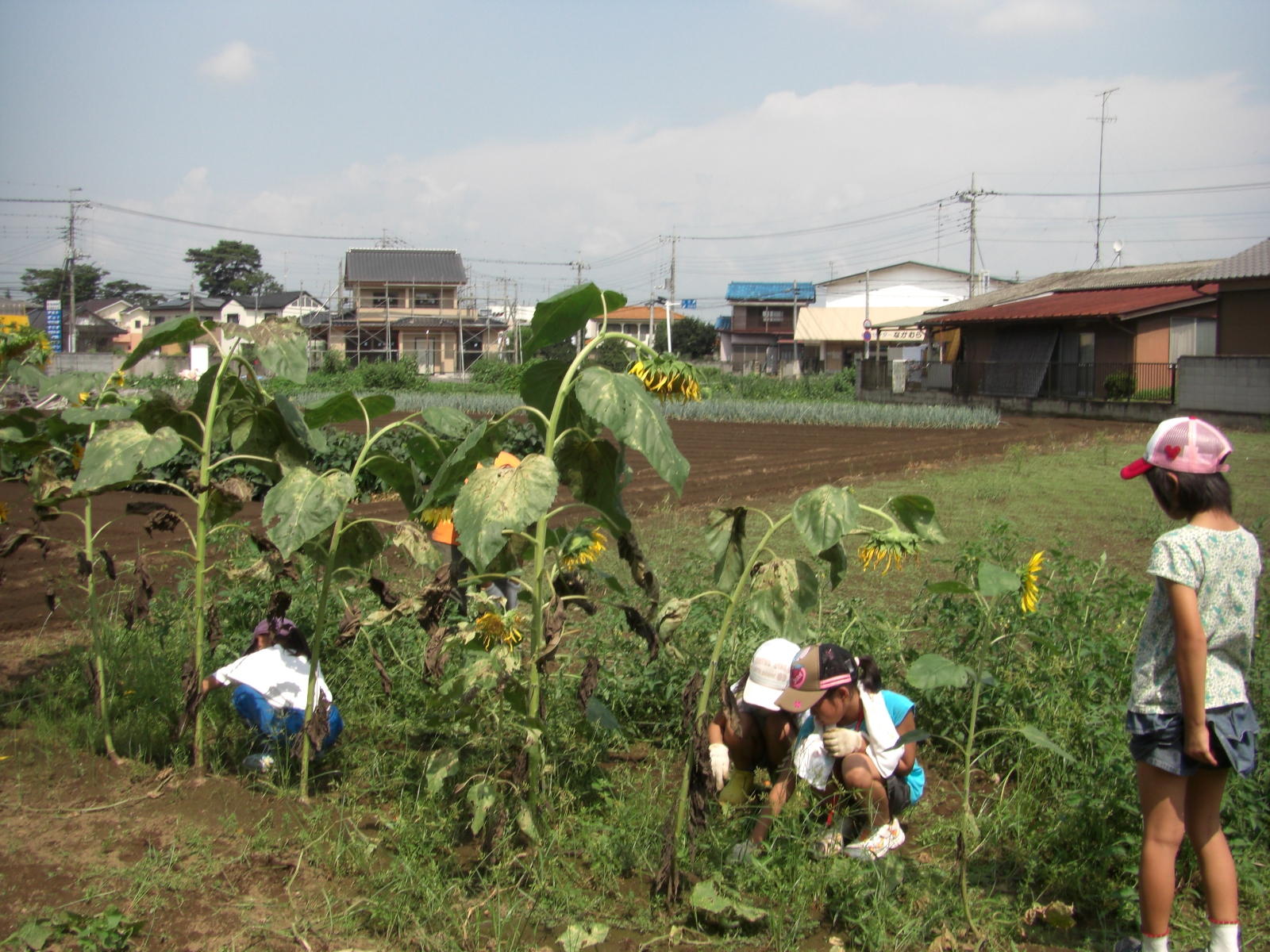 080907-019.JPG