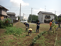 080907-020_thumb.png