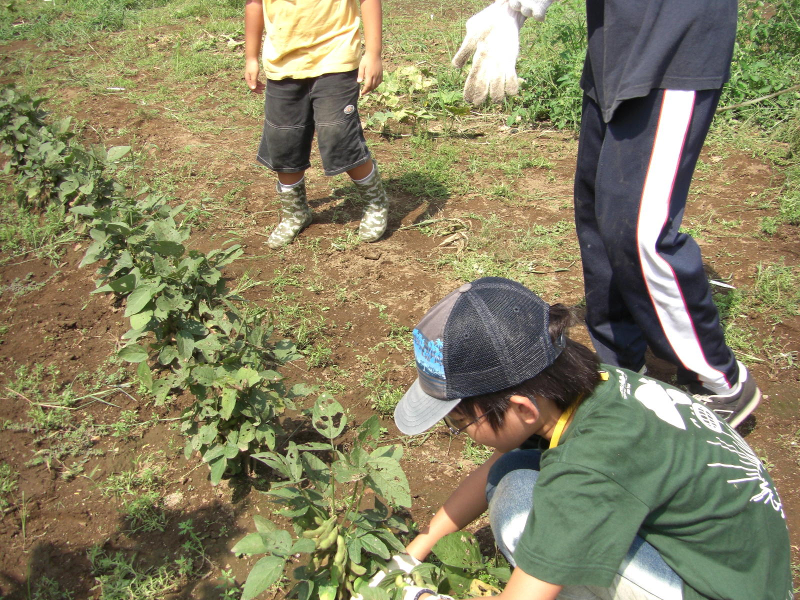 080907-024.JPG