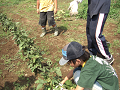 080907-024_thumb.png
